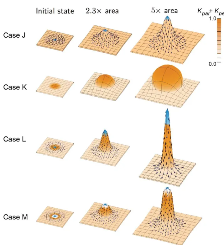Figure 3. Shapes growing in 3D from a square canvas. In all cases there is a background specified growth rate (light orange) and each column shows the result of growing to a given multiple of the initial area