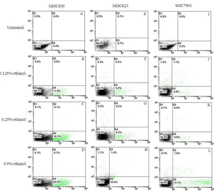 Fig.  2.  Efect  of  low  concentrations  of  ethanol  on  cell  apoptosis  of  on  gastric  adenocarcinoma  cell  lines  (MGC803,  BGC-823,  and  SGC7901)