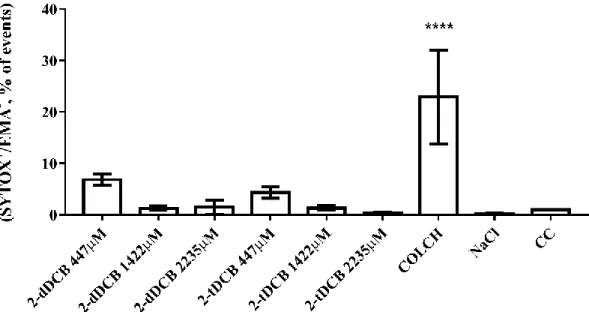 Figure 2 - MN cells formed after the cell line received treatment with the 2-dDCB  and 2-tDCB compounds at the concentrations of 447, 1422 and 2235 μM