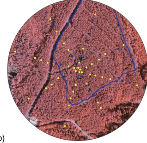 Fig. 2. Aerial photographs of the sample area. Sampling grid is marked with blue (no sample) and yellow (sampled) circles