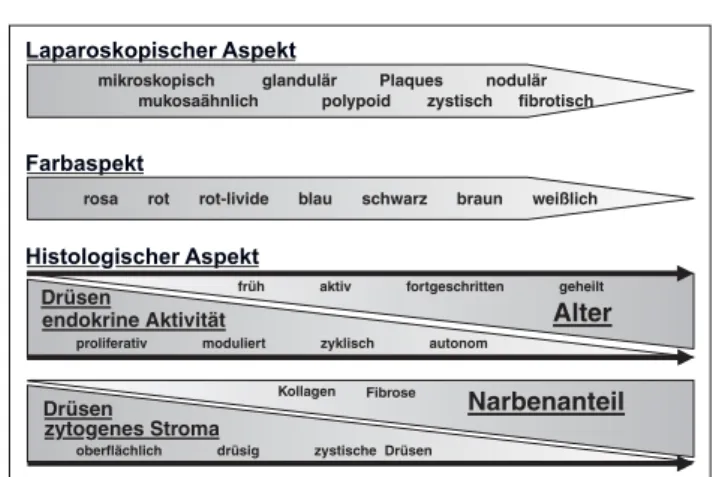 Abbildung 2: Häufigkeit des histologischen Endometriosenachweises in atypischen,