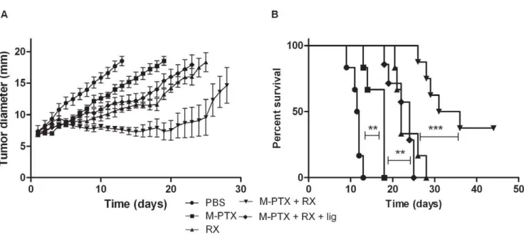 Figure 2. Anti-tumor effect on TLT-tumor-bearing mice treated with PTX-loaded micelles in combination with irradiation