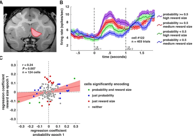 Fig 2. Coding of offer values in VS neurons. A. Magnetic resonance image of monkey B. Recordings were made in the nucleus accumbens region of VS (highlighted in red; see S4 Fig for precise demarcation)