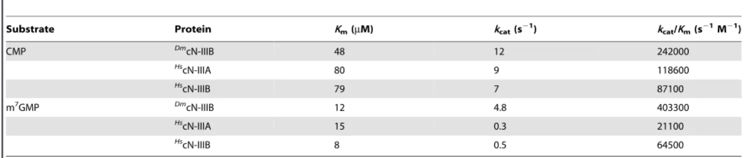 Figure 6. Overall structural comparison of Dm cN-IIIB bound to m 7 G with Mm cN-IIIA bound to UMP