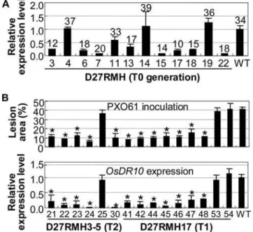 Figure 2. Enhanced resistance of OsDR10 -suppressed plants to Xoo strain PXO61 was associated with suppressed OsDR10 expression