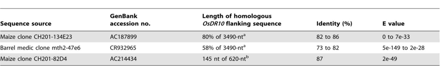 Table 2. Sequences homologous to OsDR10 flanking sequences.