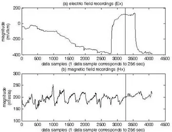 Fig. 3. (a) Recorded electric field signal (Ey – bearing E-W) from approximately 9 p.m