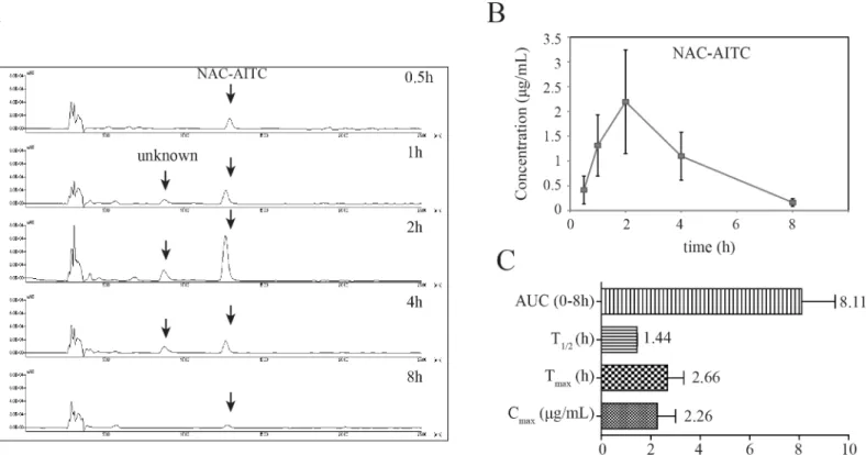 Fig 3. Pharmacokinetic analysis of GSH-AITC and NAC-AITC in rat urine. (A) HPLC chromatograms of AITC metabolites in urine obtained at different time points following oral administration of AITC