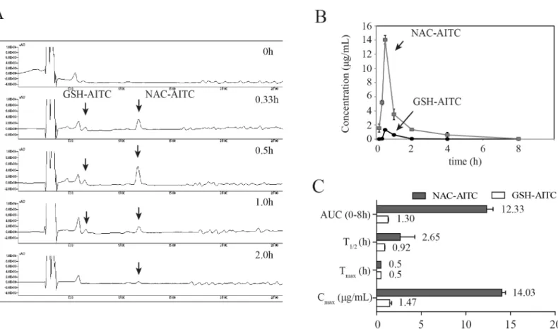 Fig 2. Pharmacokinetic analysis of GSH-AITC and NAC-AITC in rat plasma. (A) HPLC chromatograms of AITC metabolites in plasma obtained at different time points following oral administration of AITC obtained by measuring absorbance at a wavelength of 250 nm
