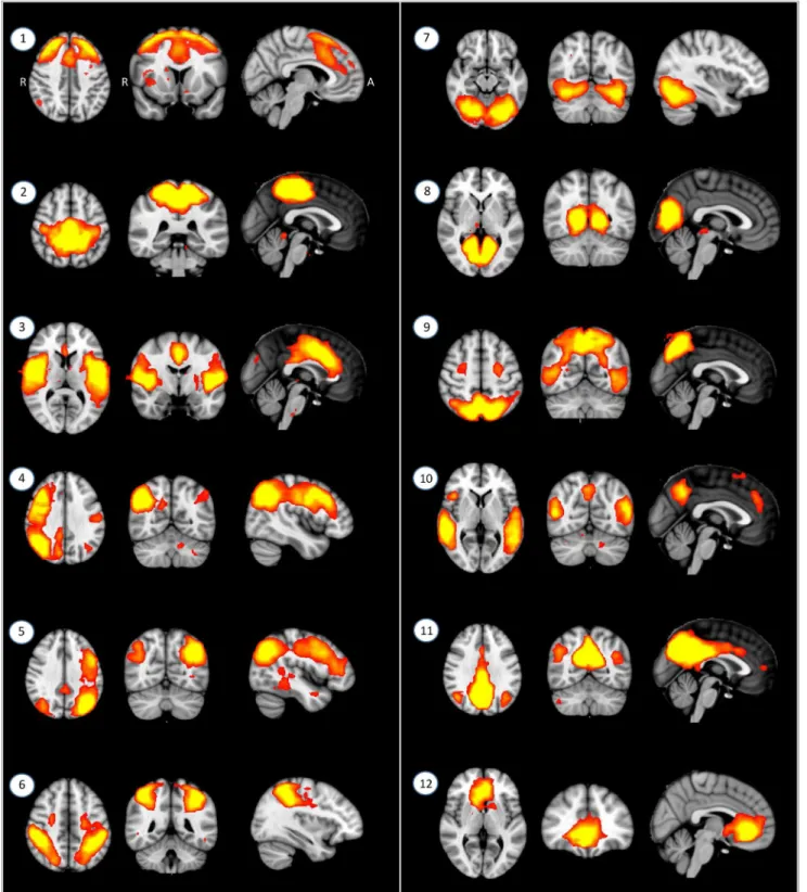 Figure 1. Twelve spatially independent resting-state-related functional networks (RSFNs)