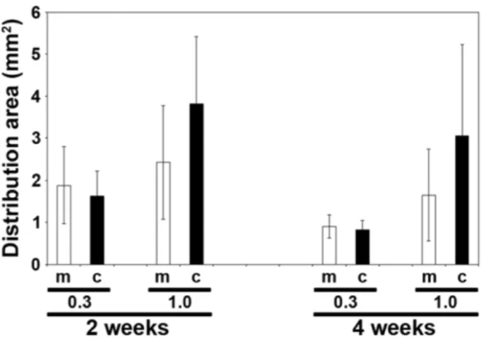 Table 2). Here, DCX was confined to the cell nucleus of all cells.