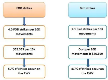 Figure 6 – Illustration of the data related to FOD strikes and Bird strikes [compiled by author] 