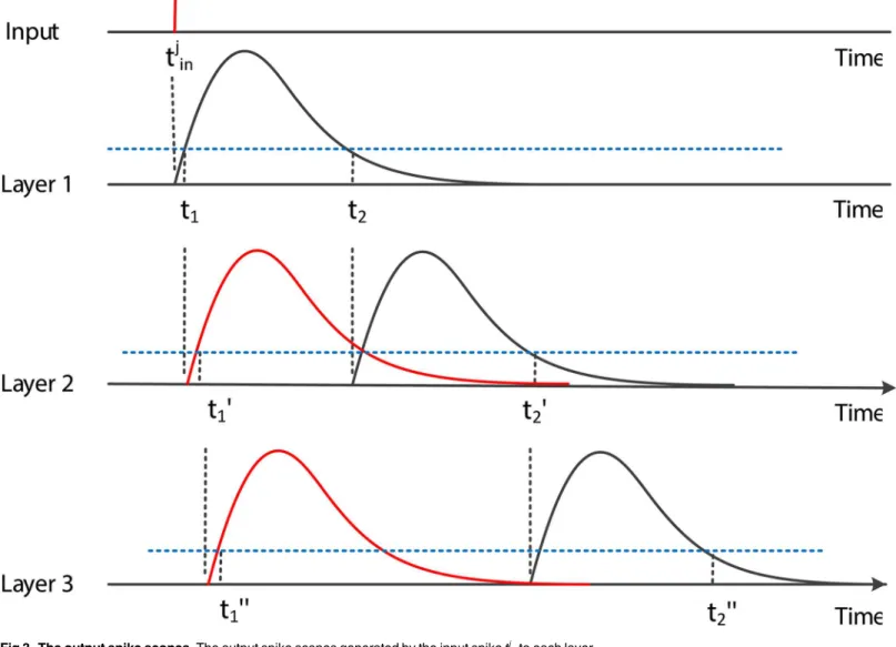 Fig 3. The output spike scopes. The output spike scopes generated by the input spike t j in to each layer.