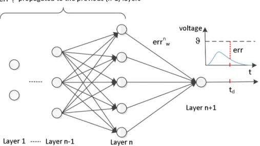 Fig 1. The error and its assignment in our algorithm. The error err is assigned to two parts, among which err wn is assigned to the current layer for weight modiﬁcation, and err nt is propagated to previous (n − 1) layers.