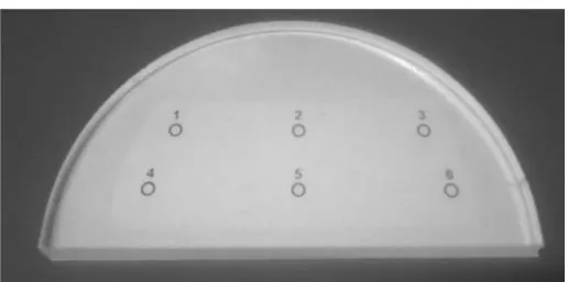 Figure 6: PMMA plate with calcium agglomerates. 