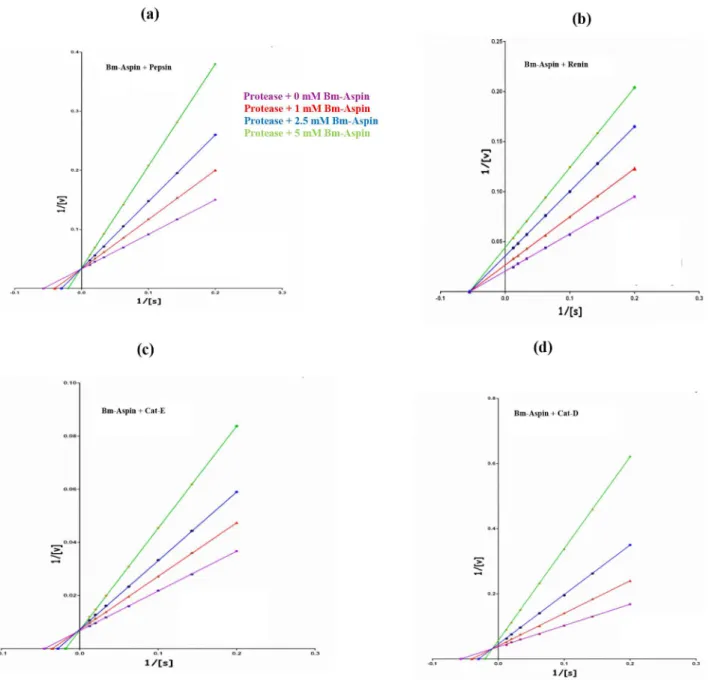 Figure 2. Kinetics of aspartic protease inhibition by Bm-Aspin. Lineweaver-Burk Plots showing the variation (1/V with that of 1/S) of competitive inhibition of pepsin (A) and cathepsin-E (C), non-competitive for renin (B) and mixed inhibition for cathepsin