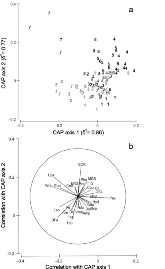 Figure 6. Canonical analysis of principal coordinates for protected vs. unprotected shallow infralittoral rocky assemblages and discriminating taxa