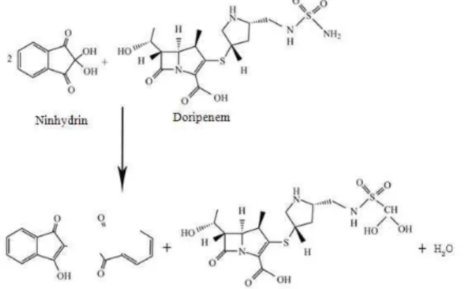 Fig. 4: Representative  spectra  of  doripenem  and  the  doripenem  +  chloranil  complex  formed  using  different  concentrations  of  doripenem  (10,  15,  20,  25  and  30  µg  mL −1 )  and  a  constant  concentration of chloranil (75 µg mL −1 ) 