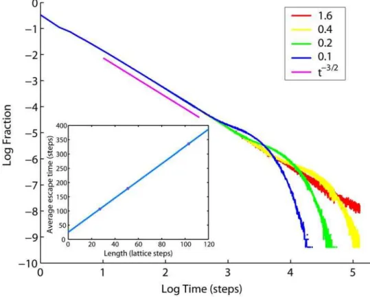 Figure 9. Probability distribution of escape times from tubular cristae. Cristae have radius a = 14 nm and lengths as indicated in the legend (in units of mitochondrial radius R m = 200 nm)