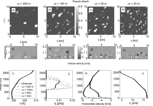 Fig. 8. Same as Fig. 7, for cumulus cloud simulated by 3DCLOUD with assimilation of meteo- meteo-rological profiles based on the BOMEX case.