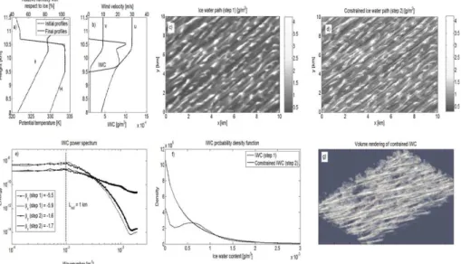 Fig. 11. Idealized vertical profiles assimilated (dashed lines) and simulated (solid lines) by 3DCLOUD during the step 1 of (a) the potential temperature and relative humidity and of (b) the horizontal velocity components and the ice water content (IWC), (