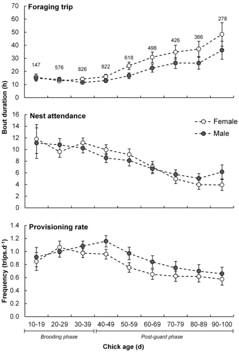 Fig. 1. Sex-specific behavioural parameters of adult Cape gannets at Bird Island, Algoa Bay, as a function of the age of the chicks they are provisioning