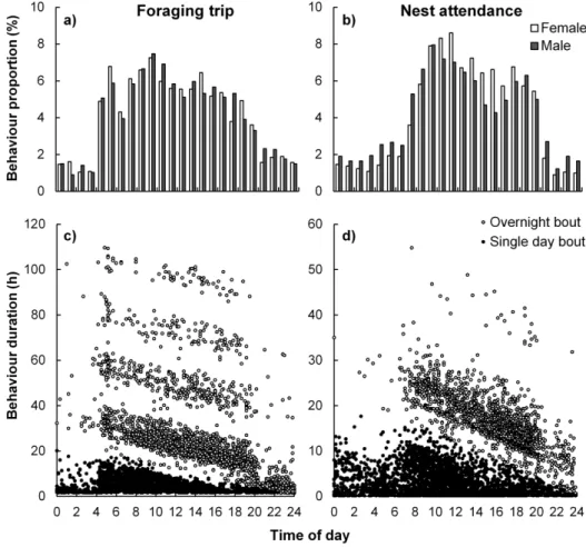 Fig. 3. Timing of bout initiation and duration for breeding Cape gannets at Bird Island, Algoa Bay.