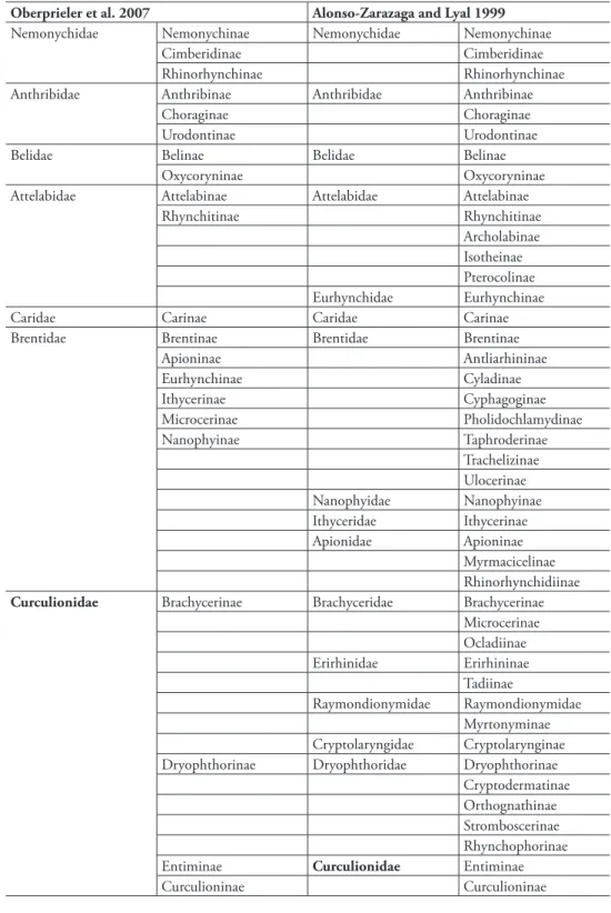 Table 2. Comparison of weevil classiication of extant families as more broadly deined by Oberprieler et al