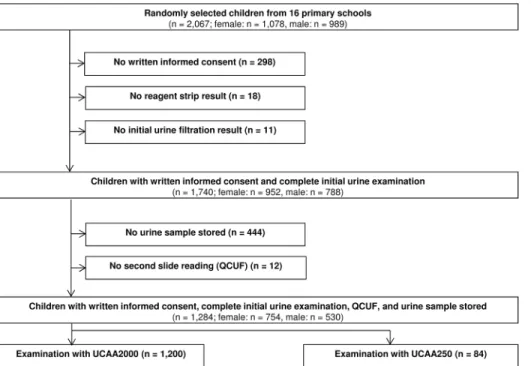 Fig 2 shows that there were considerable differences in the empirical S. haematobium preva- preva-lences at the unit of the school and according to endemicity level, depending on the diagnostic approach applied