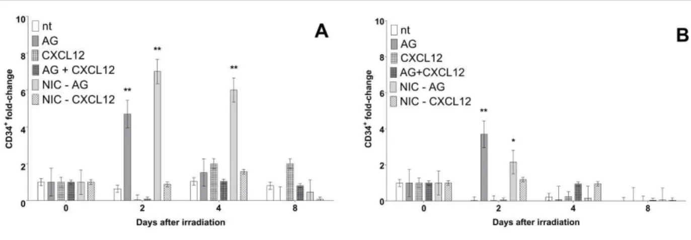 Figure 2: Fold changes relative to controls of CD34+ counts in spleen (A) on bone marrow (B)  cells of all groups