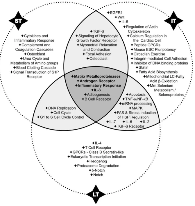 Figure 7. Regulatory pathways regulated by miRNAs as determined by the MicroCosm Targets algorithm