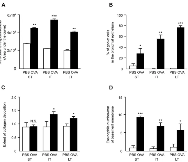 Figure 1. Assessment of airway inflammation, sensitization and hyperresponsiveness. Assessment of airway responsiveness to metacholine (Panel A), of glandular hyperplasia as percentage of goblet cells per total epithelial cells (Panel B), of peribronchial 