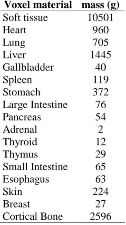 Table 5: Human torso voxel phantom organ/tissue masses.  