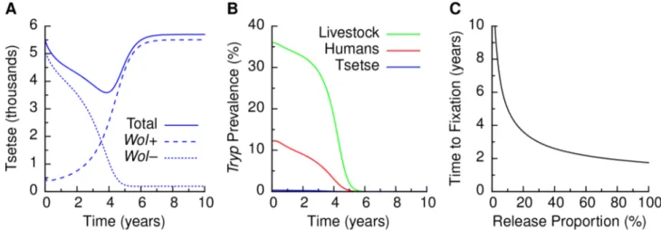 Figure 2. Model behavior following release of paratransgenic tsetse. (A) Tsetse population dynamics after a release of 20% paratransgenic Wolbachia -colonized tsetse enter the wild-type non-colonized tsetse