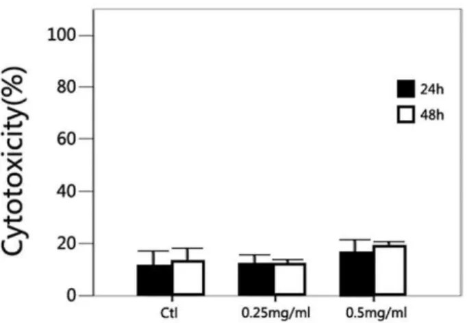 Figure 4. Inhibitory effect of pirfenidone on TGF-b2-induced fibroblastic phenotypes in SRA01/04 cells