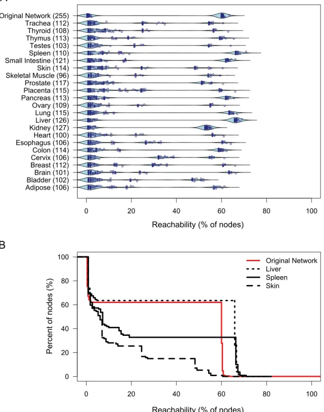 Figure 6. Reachability in tissue-specific protease webs. (A) Beanplot of reachability distributions in the largest connected components of 23 human tissue-specific networks based on gene expression in the corresponding tissues and the original protease web