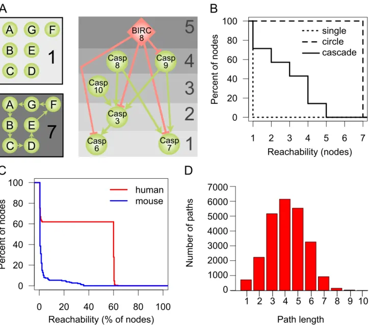 Figure 3 shows that our network data from MEROPS/