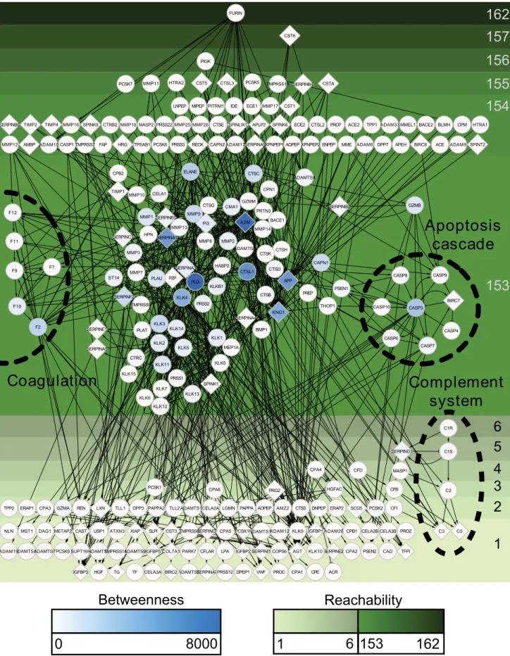 Figure 3. The largest connected component of the human protease web. The structure of the core of the human protease web is comprised of 255 connected proteases and inhibitors that form the largest connected component