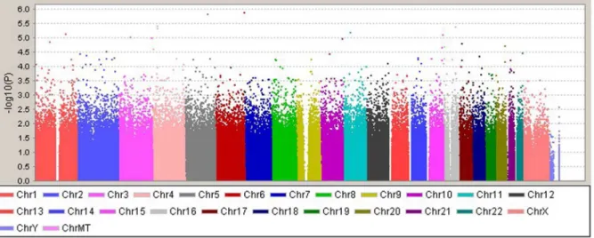 Figure 1. Graphical summary of association results from the genome-wide screen of pooled samples