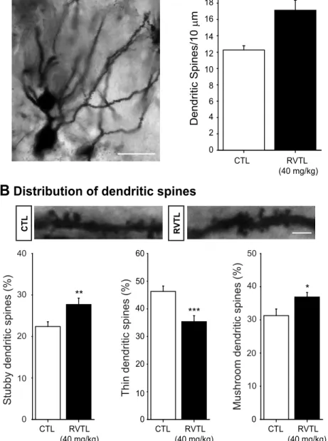 Fig 5. Resveratrol increases dendritic spines in granular cells of the dentate gyrus in female Balb/C mice at six months of age