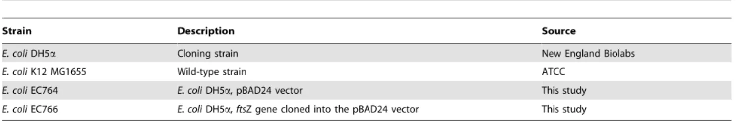 Table 3. Primers used in this study.