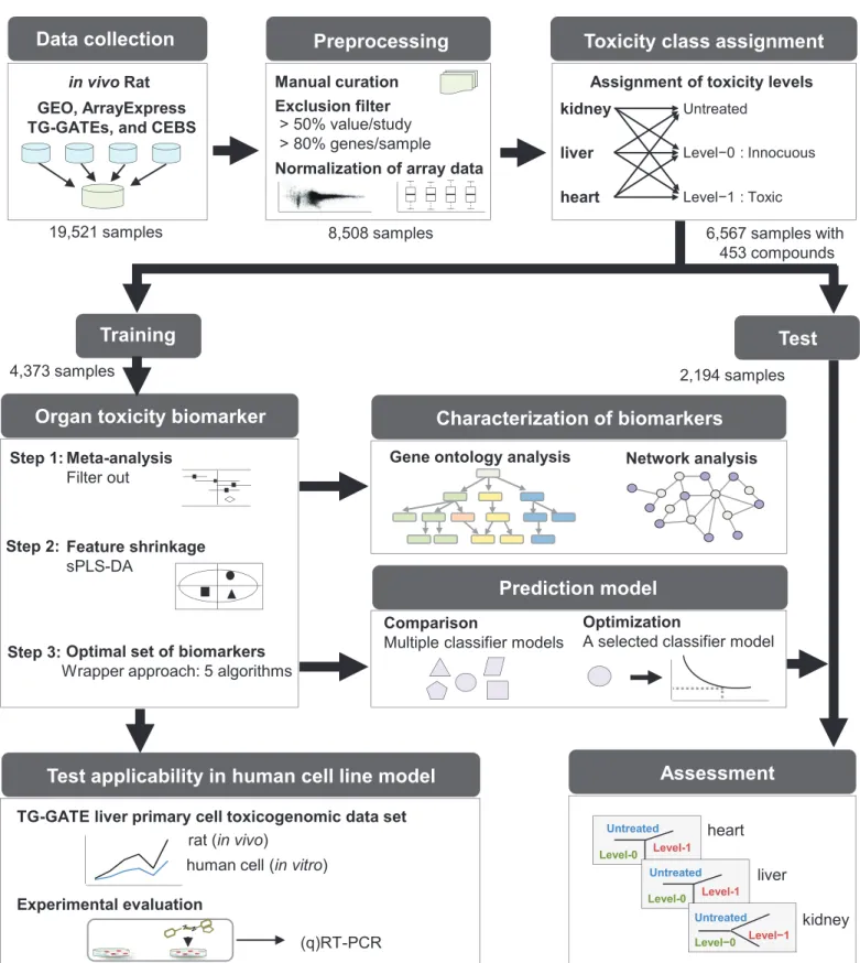 Fig 1. Overview of toxicity biomarker discovery. First, we collected toxicogenomic meta-data from public resources, preprocessed gene expression array data, and assigned toxicity classes