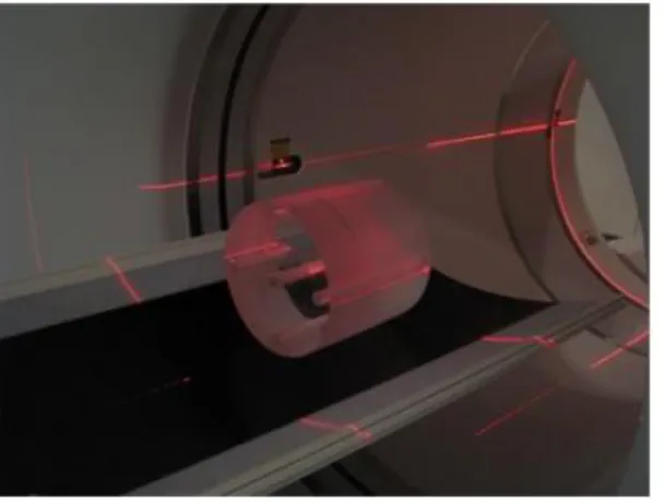 Figure 1. Phantom head in the isocenter gantry. 