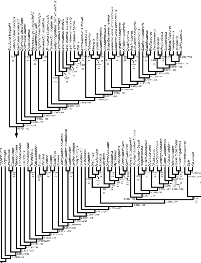 Figure 9. Most parsimonious cladogram from the phylogenetic analysis. Scores: 986.211 steps, consistency index = 0.244, retention index = 0.713