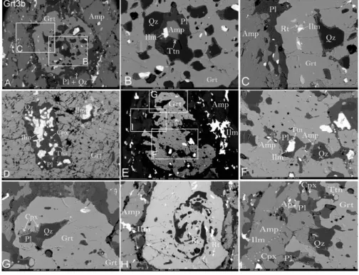 Fig. 4. Back-scattered electron images showing mineral and textural characteristics of the Sabzevar granulites (samples NG353 and NG421).