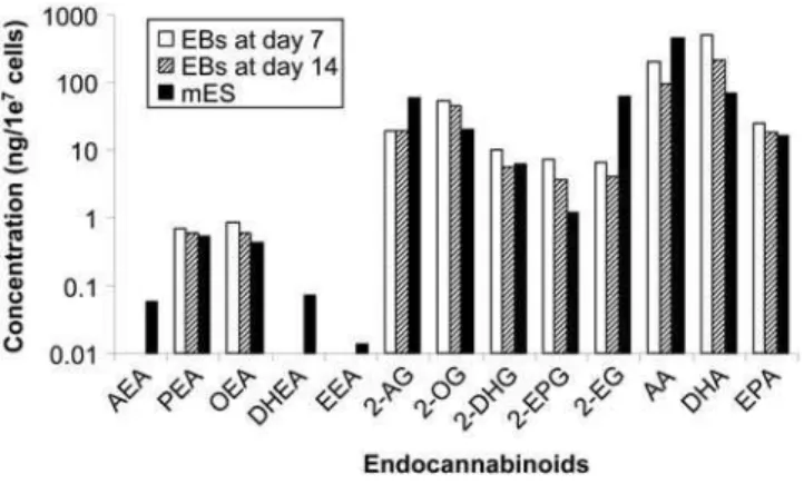 Figure 3. Comparison of endocannabinoid levels in mES cells and EBs at days 7 and 14, when the number of cells in each group is normalized to 10 7 ( = 1e 7 )