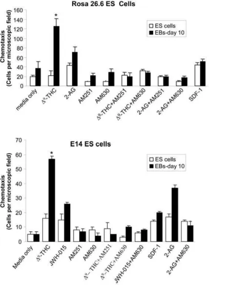 Figure 4. Effects of cannabinoid ligands on the chemotaxis of ES cells and hematopoietic differentiated ES-derived EB cells (EBs-day 10)