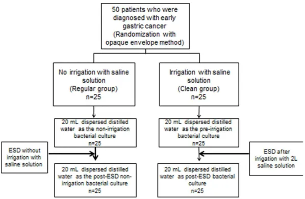 Table 1. Basal parameters of enrolled patients.