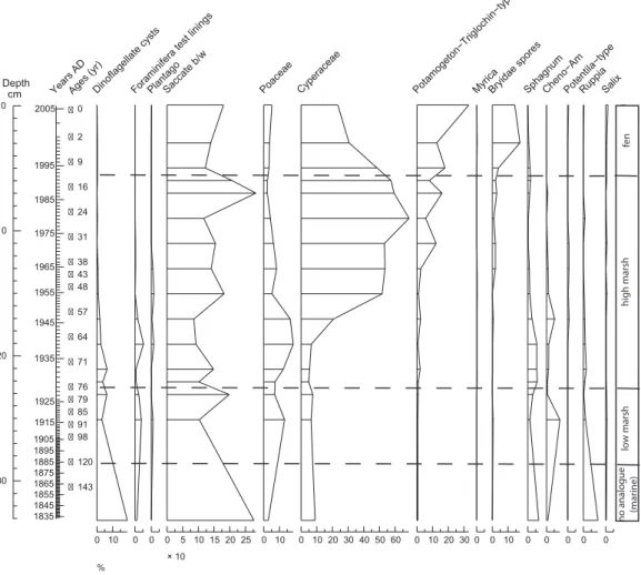 Figure 2. Percentages of plant pollen, spores and dinoflagellate cysts used in the discriminant analysis classifying  paleo-wetland communities