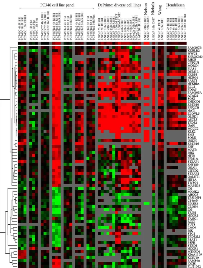 Figure 2. Expression profile of androgen-responsive genes in PC346 cells linked to publicly available databases on AR transcriptional regulation